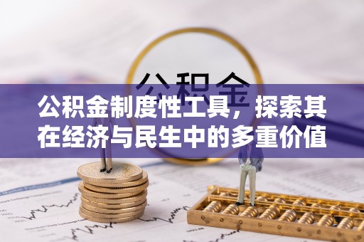 嘉黎公积金制度性工具，探索其在经济与民生中的多重价值