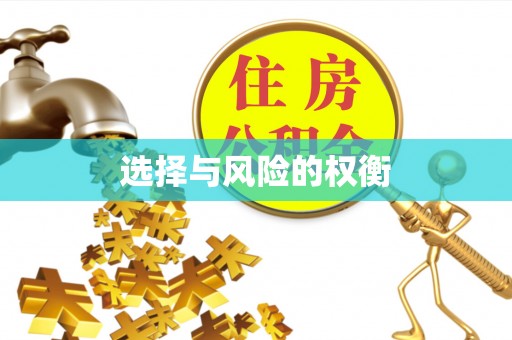 嘉黎选择与风险的权衡