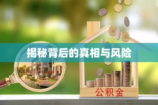 嘉黎揭秘背后的真相与风险