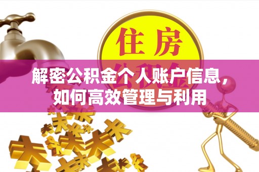 嘉黎解密公积金个人账户信息，如何高效管理与利用