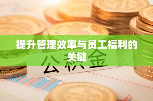 嘉黎提升管理效率与员工福利的关键