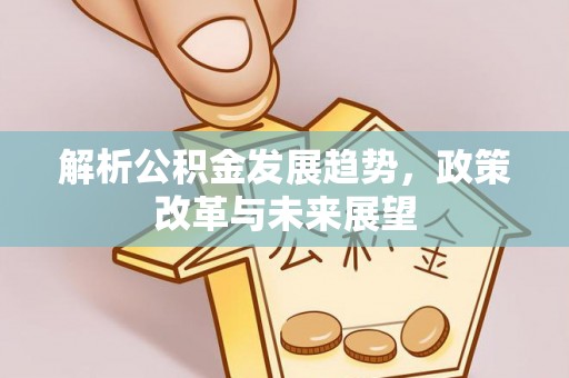 嘉黎解析公积金发展趋势，政策改革与未来展望