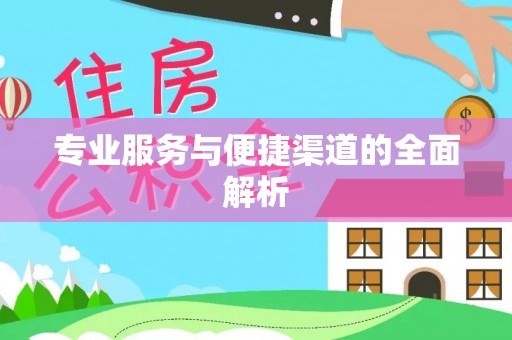 嘉黎专业服务与便捷渠道的全面解析