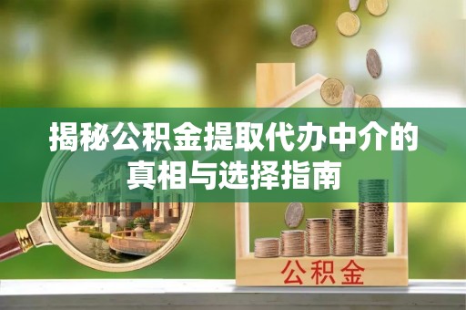 嘉黎揭秘公积金提取代办中介的真相与选择指南