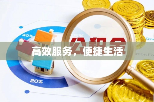 嘉黎高效服务，便捷生活