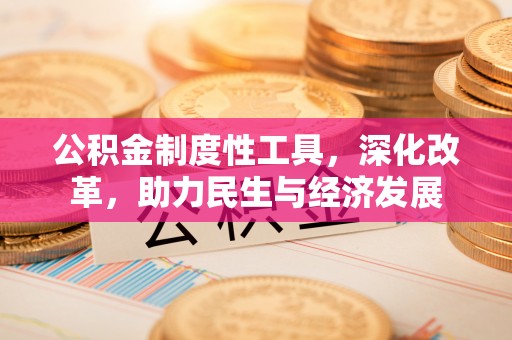 嘉黎公积金制度性工具，深化改革，助力民生与经济发展