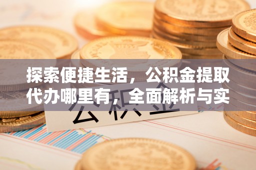 嘉黎探索便捷生活，公积金提取代办哪里有，全面解析与实用指南