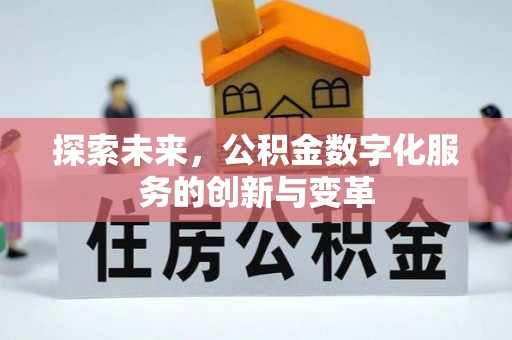 嘉黎探索未来，公积金数字化服务的创新与变革