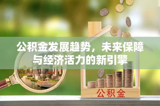 嘉黎公积金发展趋势，未来保障与经济活力的新引擎