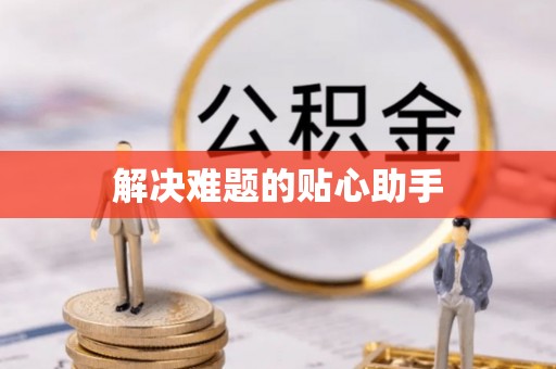 嘉黎解决难题的贴心助手