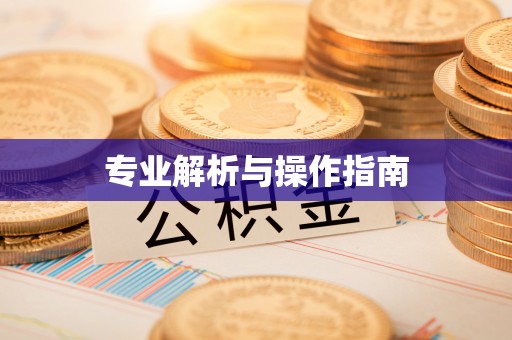 嘉黎专业解析与操作指南