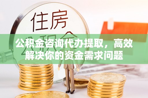 嘉黎公积金咨询代办提取，高效解决你的资金需求问题