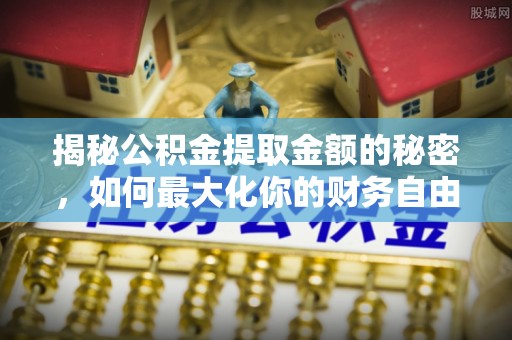 嘉黎揭秘公积金提取金额的秘密，如何最大化你的财务自由
