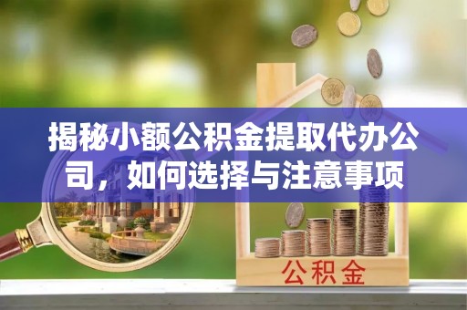 嘉黎揭秘小额公积金提取代办公司，如何选择与注意事项