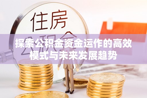 嘉黎探索公积金资金运作的高效模式与未来发展趋势