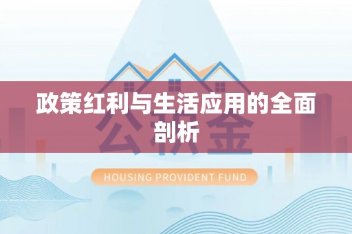嘉黎政策红利与生活应用的全面剖析