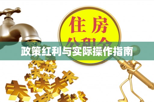 嘉黎政策红利与实际操作指南