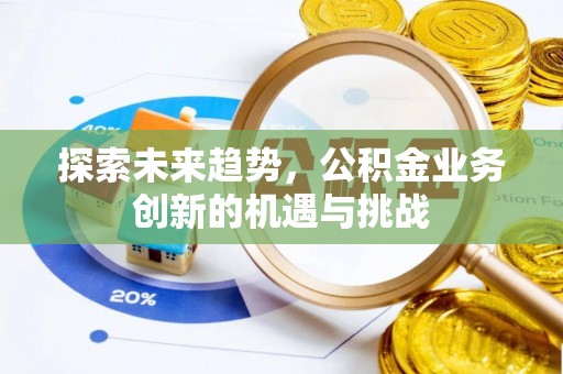 嘉黎探索未来趋势，公积金业务创新的机遇与挑战