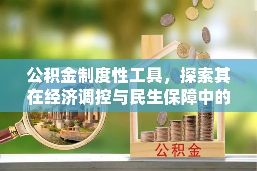 嘉黎公积金制度性工具，探索其在经济调控与民生保障中的重要作用