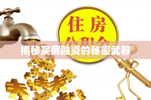 嘉黎揭秘买房融资的秘密武器