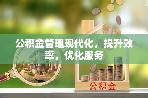 嘉黎公积金管理现代化，提升效率，优化服务