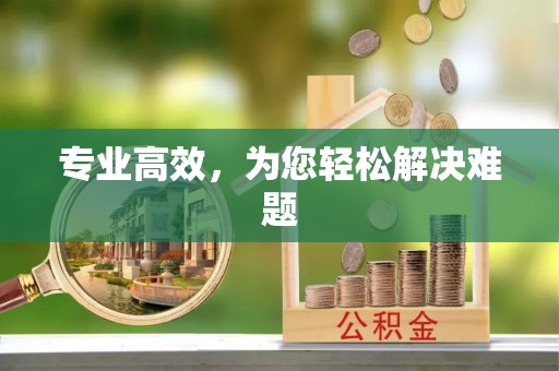 嘉黎专业高效，为您轻松解决难题