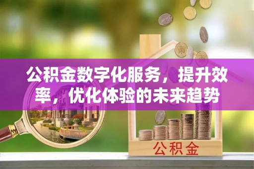 嘉黎公积金数字化服务，提升效率，优化体验的未来趋势