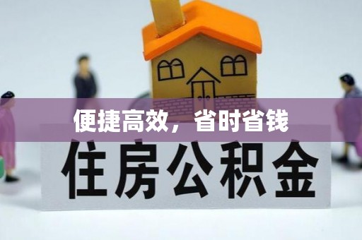 嘉黎便捷高效，省时省钱