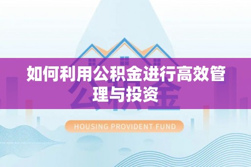 嘉黎如何利用公积金进行高效管理与投资