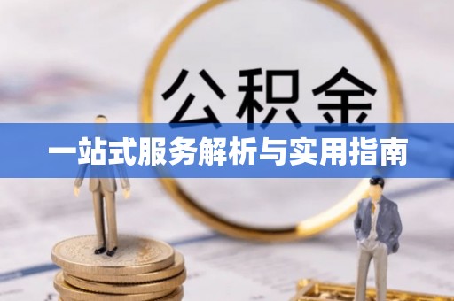 嘉黎一站式服务解析与实用指南