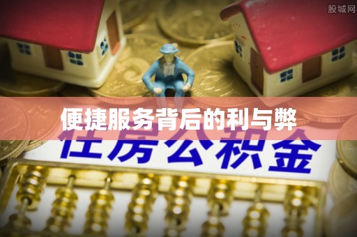 嘉黎便捷服务背后的利与弊
