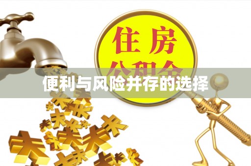 嘉黎便利与风险并存的选择