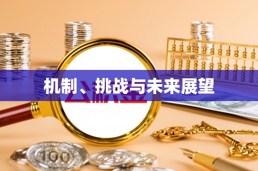 嘉黎机制、挑战与未来展望