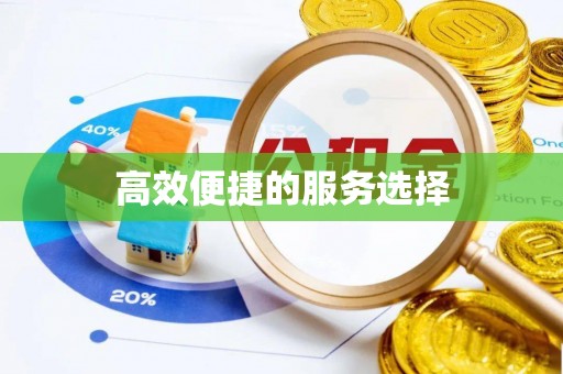 嘉黎高效便捷的服务选择