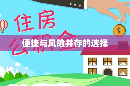 嘉黎便捷与风险并存的选择